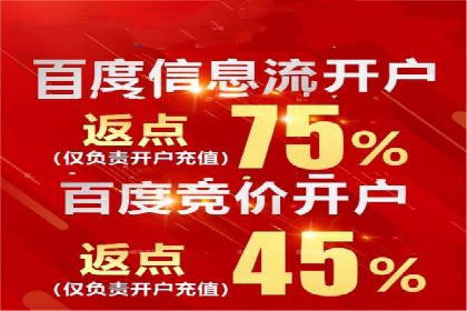 SEM竞价代运营公司案例深度解析